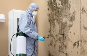 Best Mold Odor Removal Services  in Venus, TX